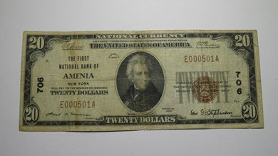 $20 1929 Amenia New York NY National Currency Bank Note Bill Charter #706 VF