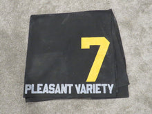 Load image into Gallery viewer, Pleasant Variety Horse Race Used Worn Stakes Saddle Cloth Great Usage 1980-90&#39;s