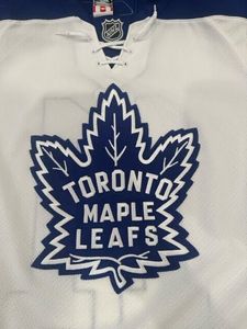 2008-09 Jiri Tlusty Toronto Maple Leafs Game Used Worn NHL Hockey Jersey MeiGray