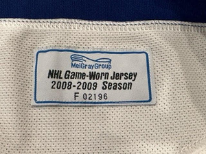 2008-09 Jiri Tlusty Toronto Maple Leafs Game Used Worn NHL Hockey Jersey MeiGray