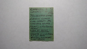 January 25, 1969 New York Rangers Vs. Chicago Blackhawks Hockey Ticket Stub!