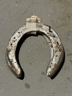 Whatsdachances Darby Dan Farm Racehorse Used Worn Horse Shoes Horseshoes