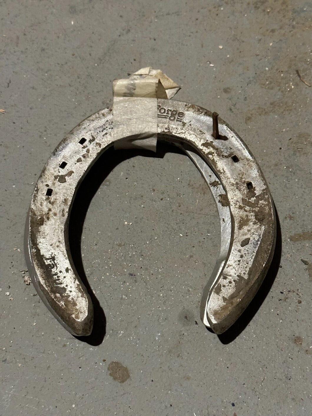 Whatsdachances Darby Dan Farm Racehorse Used Worn Horse Shoes Horseshoes