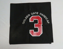 Load image into Gallery viewer, 1991 Pleasant Variety Golden Gate Handicap Grade 2 Race Used Worn Saddle Cloth