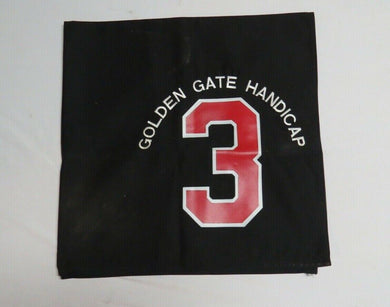 1991 Pleasant Variety Golden Gate Handicap Grade 2 Race Used Worn Saddle Cloth