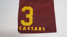 Load image into Gallery viewer, 1990 Pleasant Variety Caesars International Handicap Race Used Worn Saddle Cloth