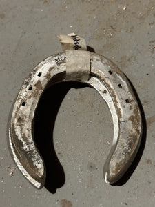 Whatsdachances Darby Dan Farm Racehorse Used Worn Horse Shoes Horseshoes