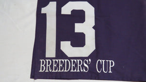 1989 Pleasant Variety Breeder's Cup Turf Grade 1 Race Used Worn Saddle Cloth!