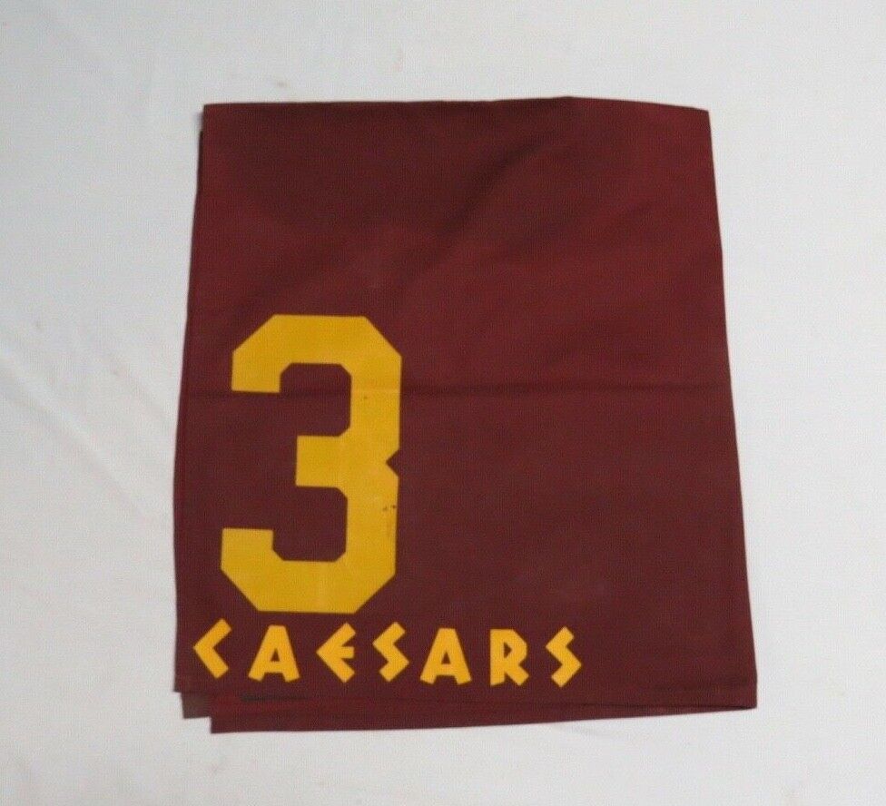 1990 Pleasant Variety Caesars International Handicap Race Used Worn Saddle Cloth