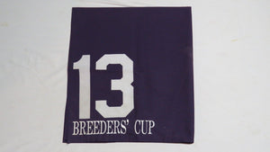 1989 Pleasant Variety Breeder's Cup Turf Grade 1 Race Used Worn Saddle Cloth!