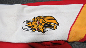 1998-99 Duilio Grande Baie-Comeau Drakkar Game Used Worn QMJHL Hockey Jersey CHL