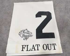 2011 Flat Out Breeder's Cup Classic Churchill Downs Race Used Worn Saddle Cloth!