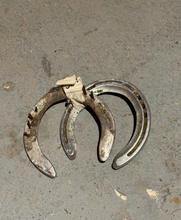 Load image into Gallery viewer, Sugar Shack Darby Dan Farm Racehorse Used Worn Horse Shoes Horseshoe Shackleford
