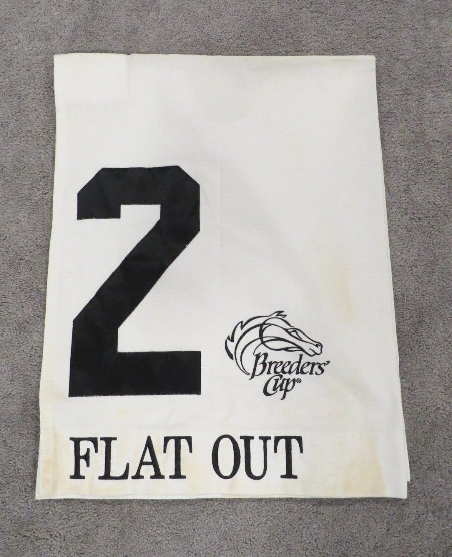 2011 Flat Out Breeder's Cup Classic Churchill Downs Race Used Worn Saddle Cloth!