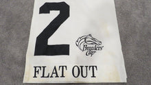 Load image into Gallery viewer, 2011 Flat Out Breeder&#39;s Cup Classic Churchill Downs Race Used Worn Saddle Cloth!
